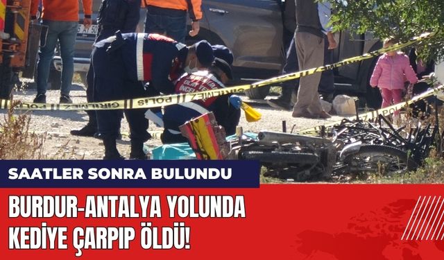 Burdur-Antalya Yolunda Kediye Çarpıp Öldü