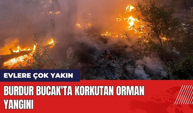 Burdur Bucak'ta Korkutan Orman Yangını