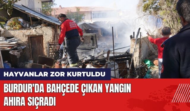 Burdur'da Bahçede Çıkan Yangın Ahıra Sıçradı