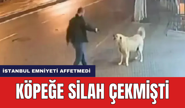 Köpeğe Silah Çekmişti Emniyet Affetmedi