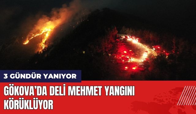 Gökova 3 Gündür Yanıyor! Deli Mehmet Yangını Körüklüyor