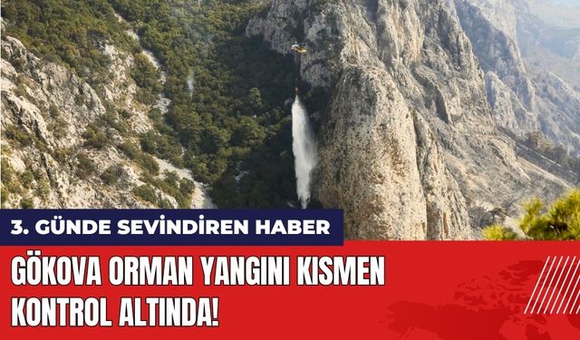 Gökova Orman Yangını Kısmen Kontrol Altında