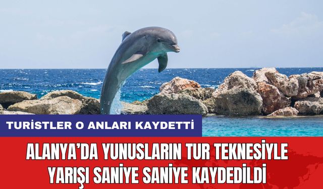 Alanya’da Yunusların Tur Teknesiyle Yarışı Saniye Saniye Kaydedildi