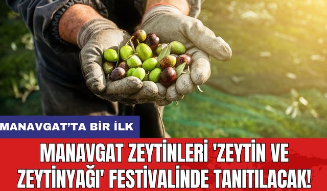 Manavgat Zeytinleri 'Zeytin ve Zeytinyağı' Festivalinde Tanıtılacak!