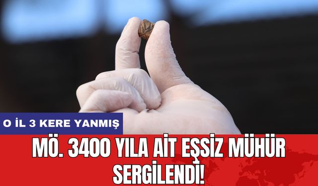 MÖ. 3400 yıla ait eşsiz mühür sergilendi! O il 3 kere yanmış