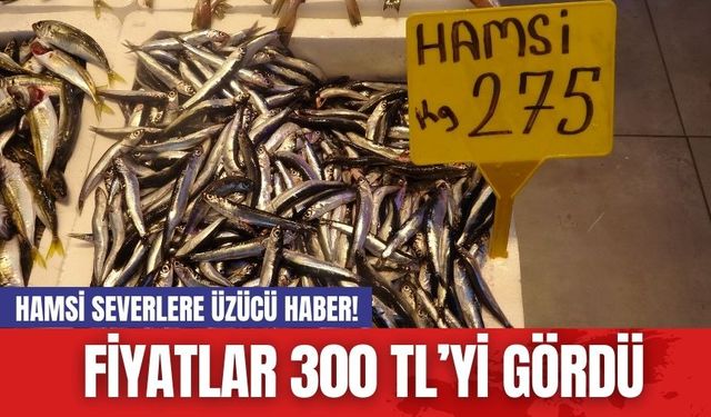 Hamsi Severlere Üzücü Haber! Fiyatlar 300 TL’yi Gördü