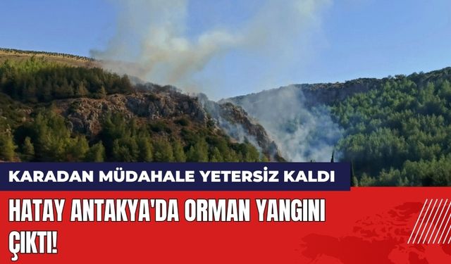 Hatay Antakya'da Orman Yangını Çıktı!