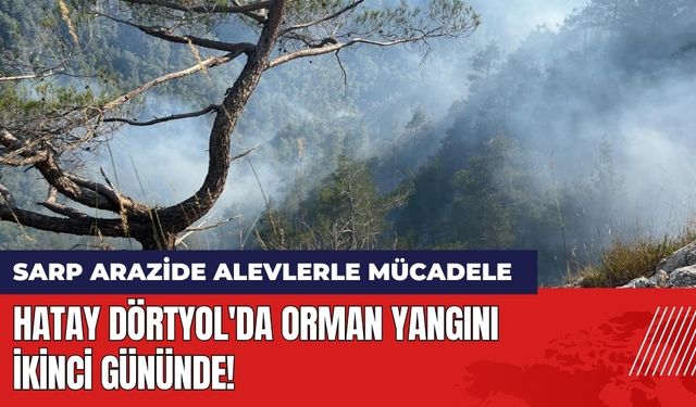 Hatay Dörtyol'da Orman Yangını İkinci Gününde!