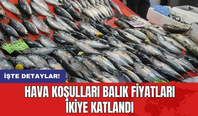 Hava Koşulları Balık Fiyatları İkiye Katlandı