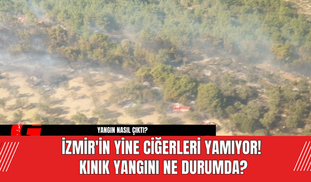 İzmir'in Yine Ciğerleri Yamıyor! Kınık Yangını Ne Durumda?