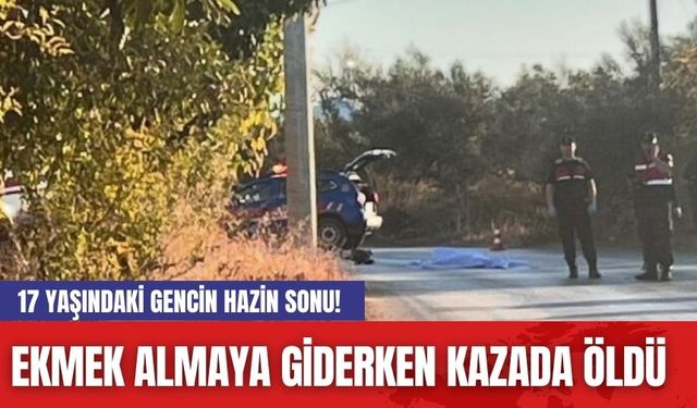 17 Yaşındaki Gencin Hazin Sonu! Ekmek Almaya Giderken Kazada Öldü