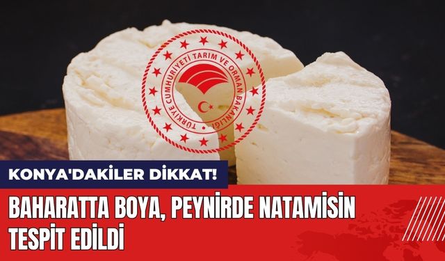 Konya'da Baharatta Boya Peynirde Natamisin Çıktı