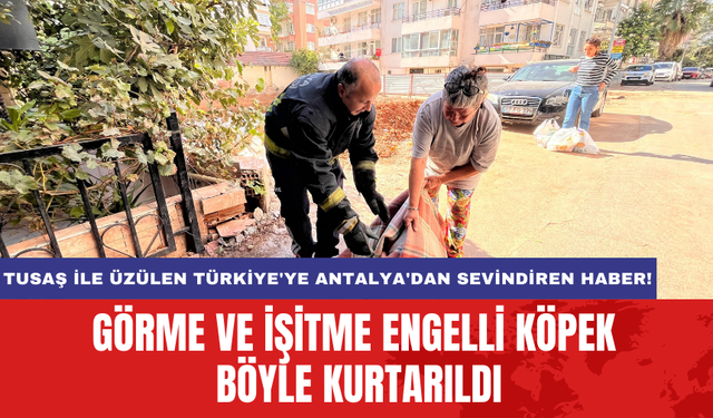 TUSAŞ ile üzülen Türkiye'ye Antalya'dan sevindiren haber! Görme ve işitme engelli köpek böyle kurtarıldı