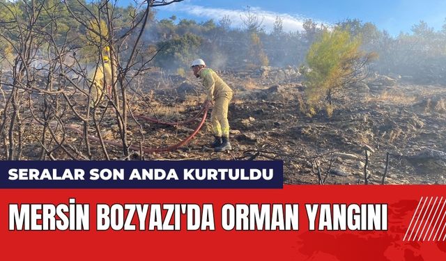 Mersin'de Orman Yangınları: Seralar Son Anda Kurtuldu