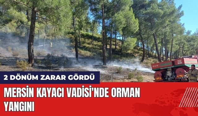 Mersin Kayacı Vadisi'nde Orman Yangını