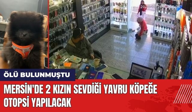 Mersin'de 2 Kızın Sevdiği Yavru Köpeğe Otopsi Yapılacak