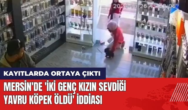 Mersin'de 'İki Genç Kızın Sevdiği Yavru Köpek Öldü' İddiası