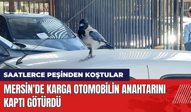 Mersin'de Karga Otomobilin Anahtarını Kaptı Götürdü