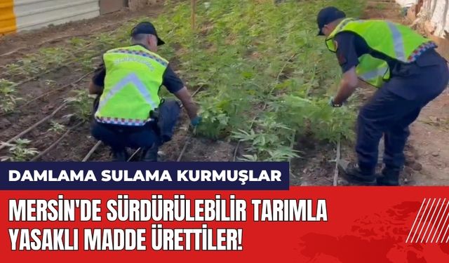 Mersin'de sürdürülebilir tarımla yasaklı madde ürettiler!