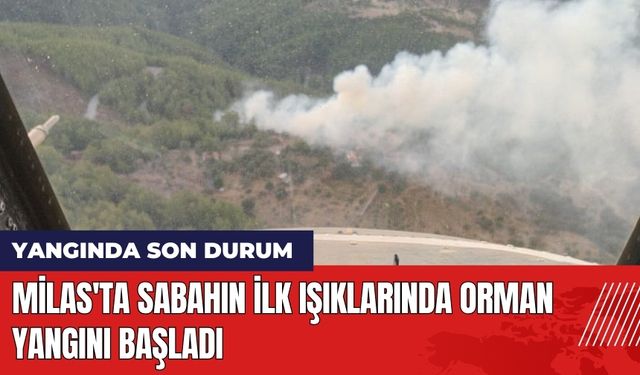 Milas'ta Sabahın İlk Işıklarında Orman Yangını Başladı