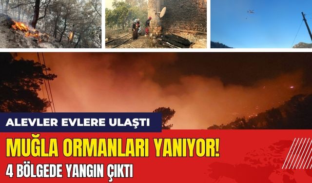 Muğla Ormanları Yanıyor! 4 Bölgede Yangın Çıktı: Alevler Evlere Ulaştı