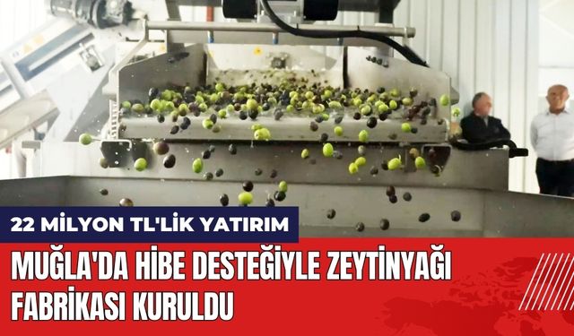 Muğla'da Hibe Desteğiyle 22 Milyon TL'lik Zeytinyağı Fabrikası Kuruldu