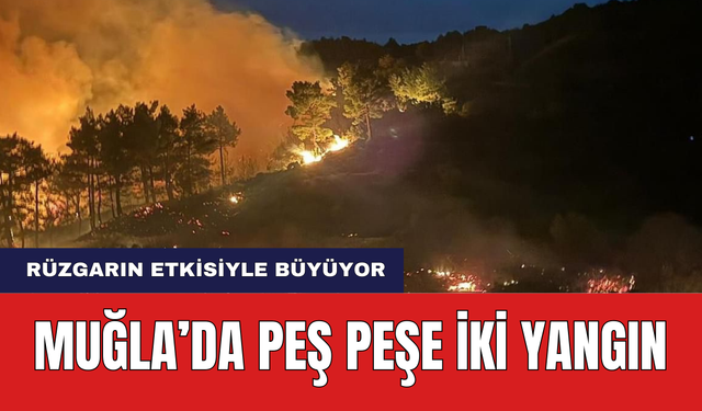 Muğla'da Peş Peşe İki Orman Yangını! Rüzgar Etkisini Sürdürüyor