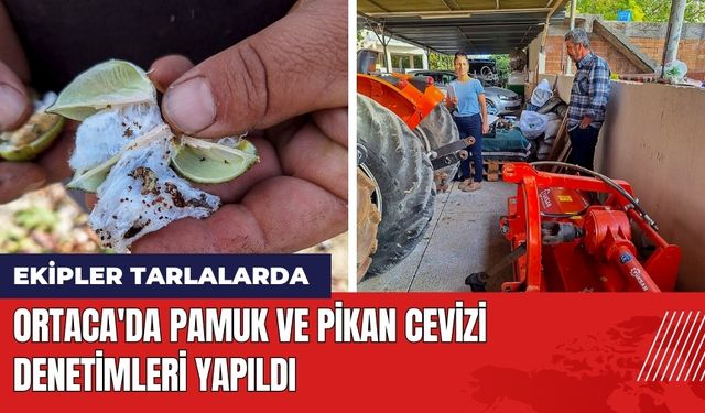 Ortaca'da Pamuk ve Pikan Cevizi Denetimleri Yapıldı