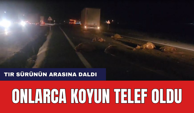 TIR Sürünün Arasına Daldı! Onlarca Koyun Telef Oldu