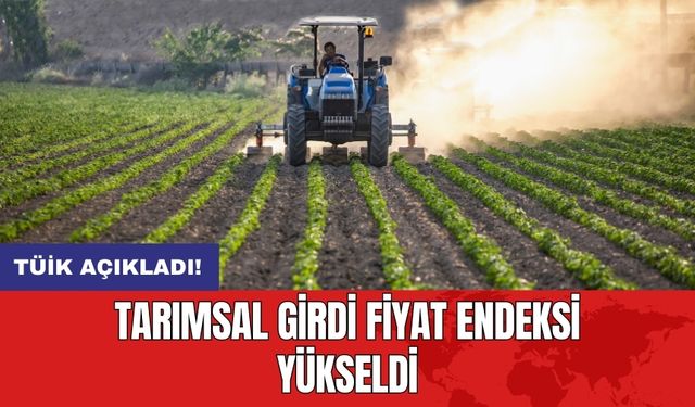 TÜİK açıkladı! Tarımsal girdi fiyat endeksi yükseldi