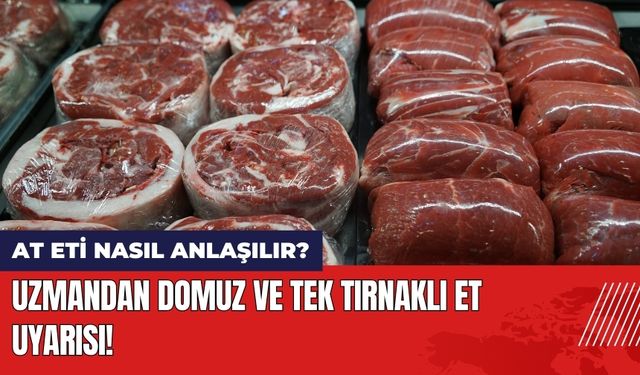 Uzmandan Domuz ve Tek Tırnaklı Et Uyarısı! At Eti Nasıl Anlaşılır?