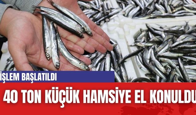 40 ton küçük hamsiye el konuldu