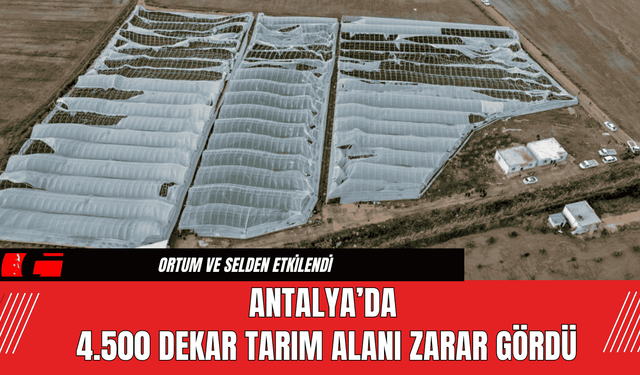 Antalya’da 4.500 Dekar Tarım Alanı Zarar Gördü