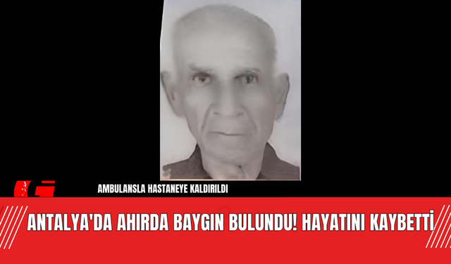 Antalya'da Ahırda Baygın Bulundu! Hayatını Kaybetti