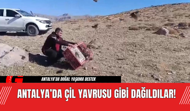 Antalya’da Çil Yavrusu Gibi Dağıldılar!