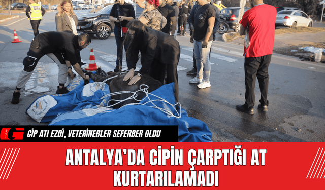 Antalya’da Cipin Çarptığı At Kurtarılamadı