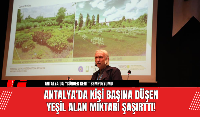 Antalya'da kişi başına düşen yeşil alan miktarı şaşırttı!