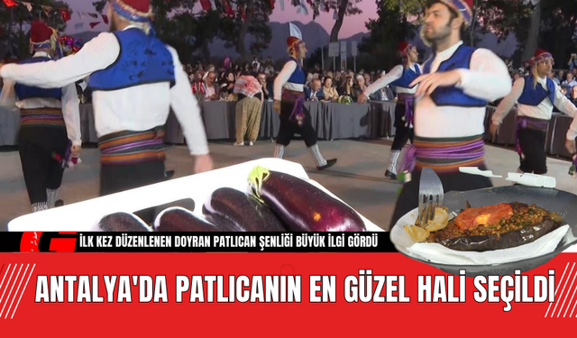 Antalya'da Patlıcanın En Güzel Hali Seçildi