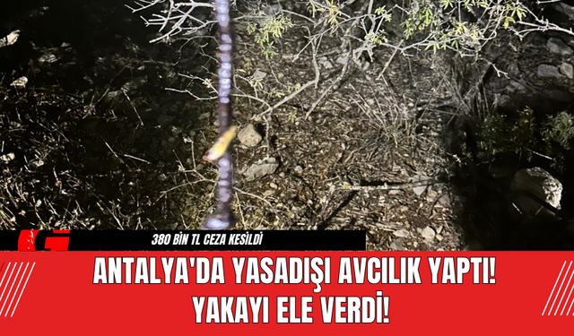 Antalya'da Yakayı Ele Verdi! Yasadışı Avcılık Yaptı! Yakayı Ele Verdi!