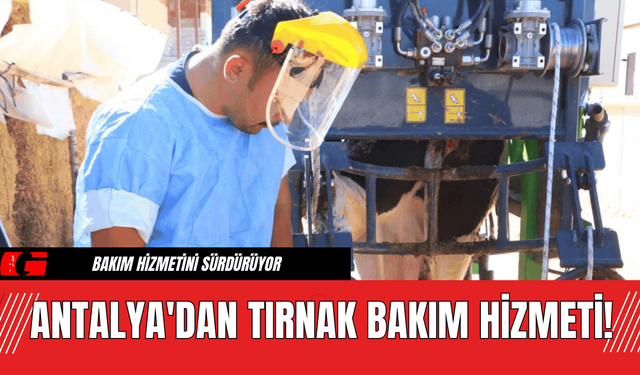 Antalya'dan Tırnak Bakım Hizmeti!