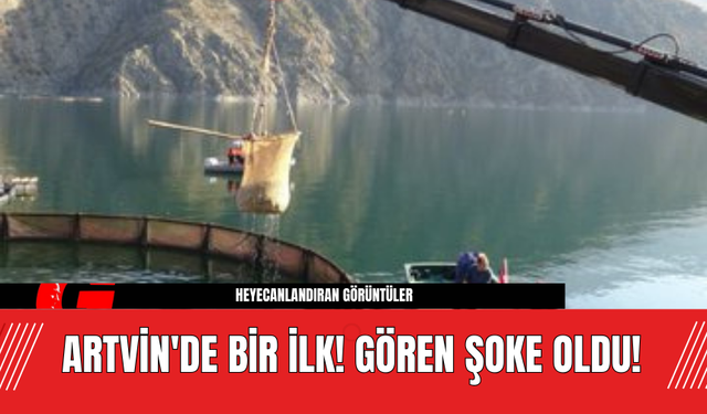 Artvin'de Bir İlk! Gören Şoke Oldu!