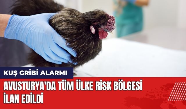 Avusturya'da Kuş Gribi Alarmı! Tüm Ülke Risk Bölgesi İlan Edildi