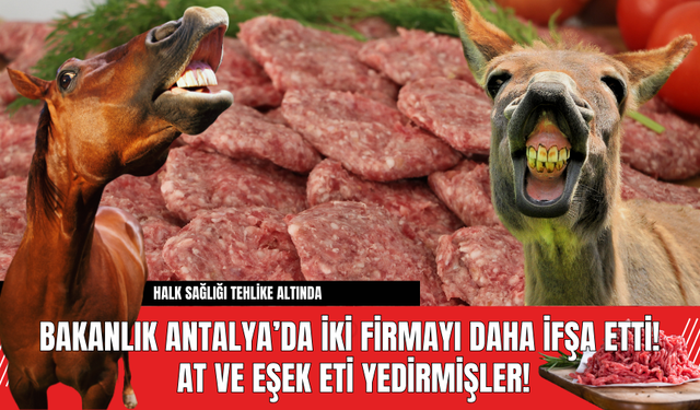 Bakanlık Antalya’da İki Firmayı Daha İfşa Etti!  At ve Eşek Eti Yedirmişler!