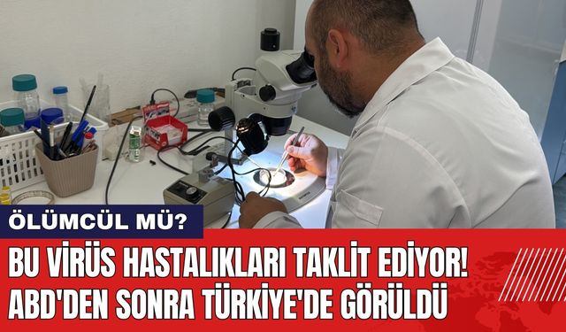 Bu Virüs Hastalıkları Taklit Ediyor! ABD'den Sonra Türkiye'de Görüldü