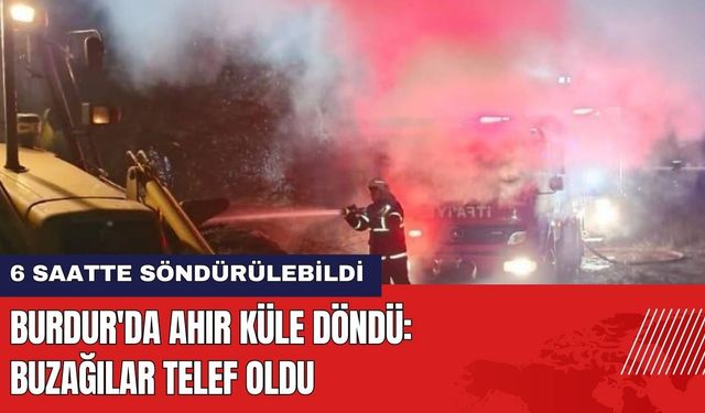 Burdur'da Ahır Küle Döndü: Buzağılar Telef Oldu