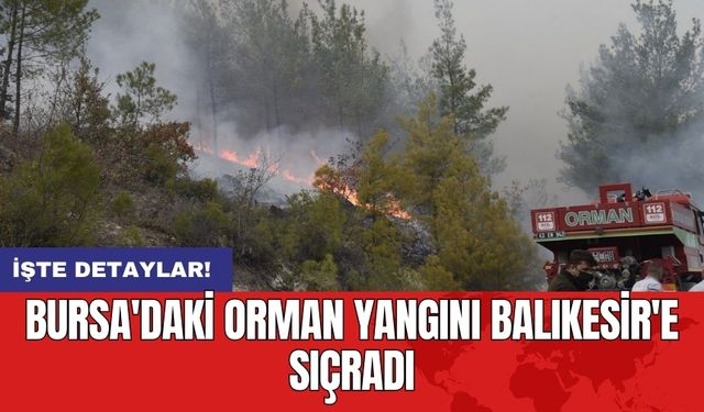 Bursa'daki orman yangını Balıkesir'e sıçradı