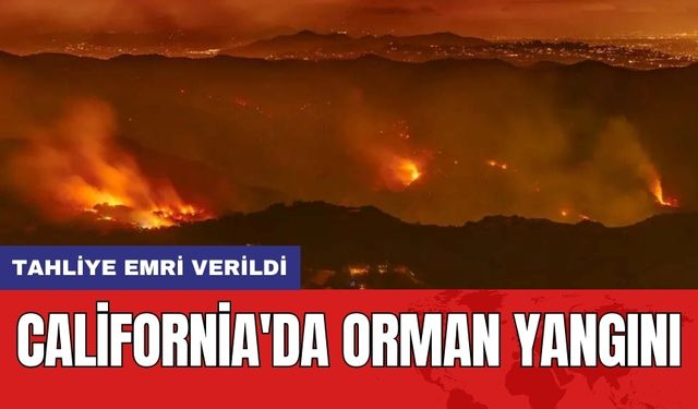 California'da Orman Yangını: Tahliye Emri Verildi