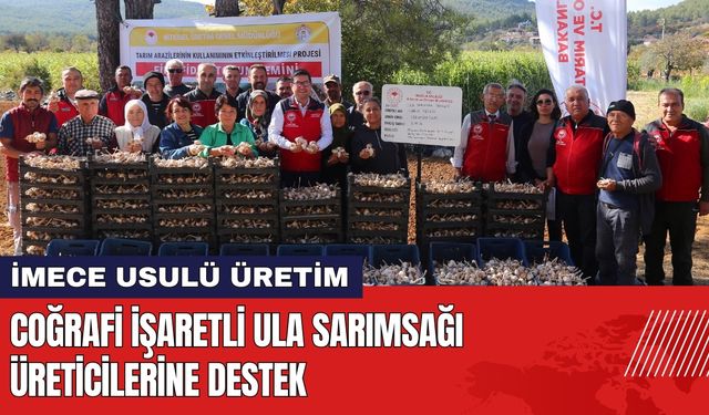 Coğrafi İşaretli Ula Sarımsağı Üreticilerine Destek