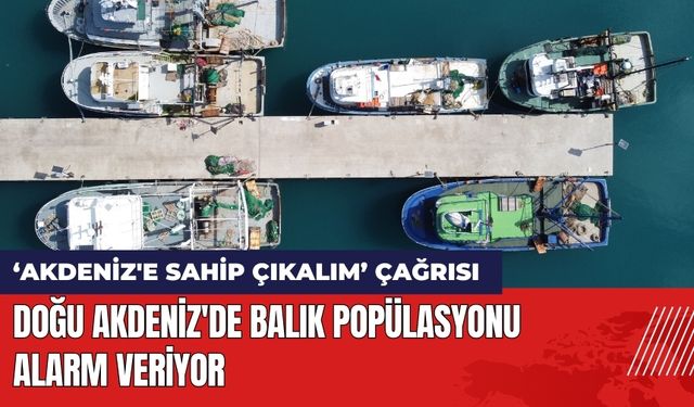 Doğu Akdeniz'de Balık Popülasyonu Alarm Veriyor