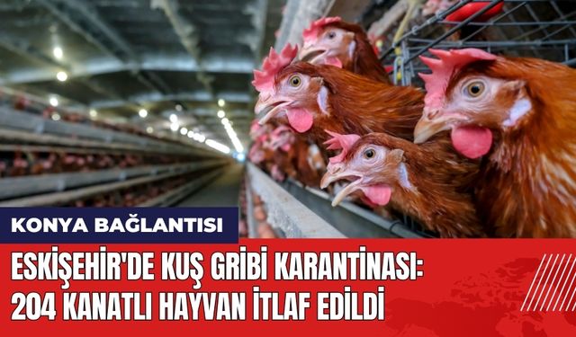 Eskişehir'de Kuş Gribi Karantinası: 204 Kanatlı Hayvan İtlaf Edildi